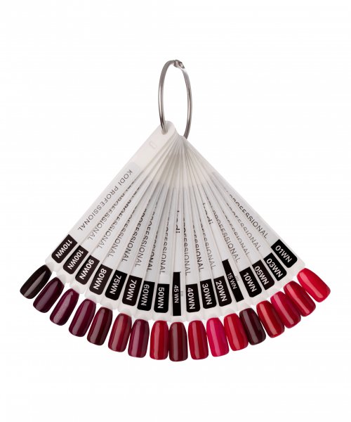 palette_gel_lack_uv_polish_wine_16_tips_